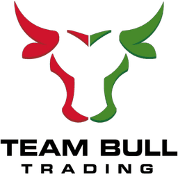 TeamBull logo