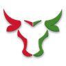 TeamBull logo